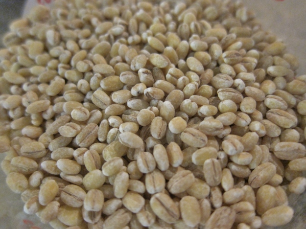 Barley Cereal (1)